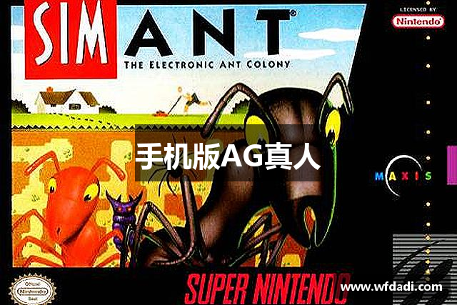 手机版AG真人